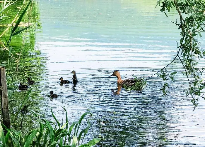 Σπίτι διακοπών Iman *